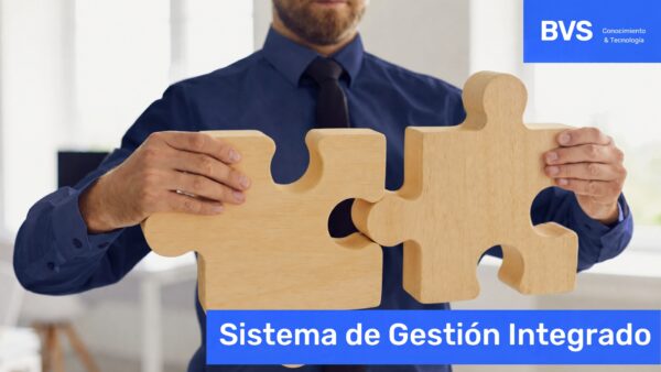 Sistema de Gestión Integrado (SGI) – BVS
